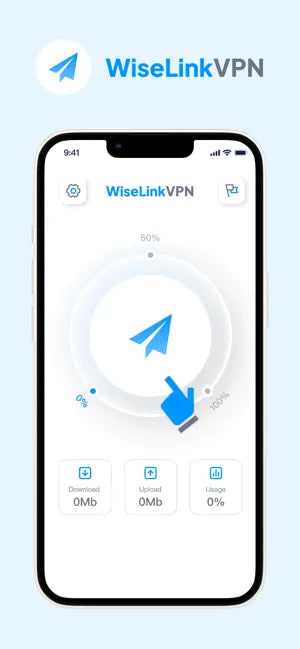 WiseLink VPN