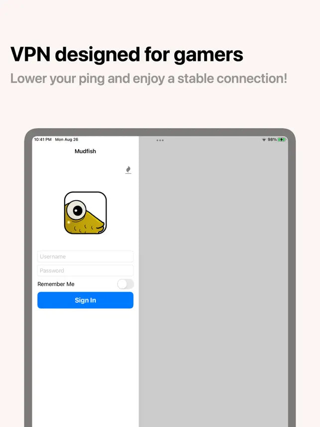 Mudfish VPN