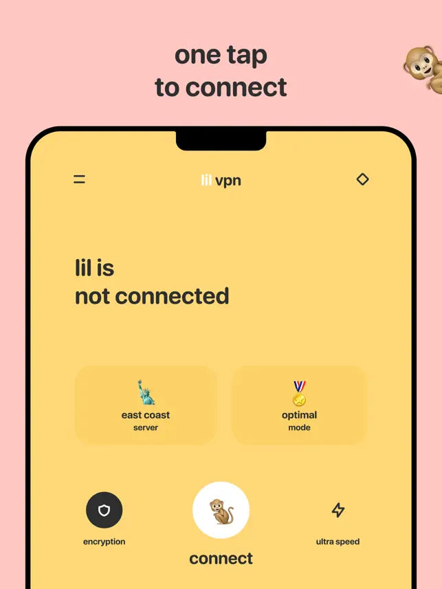 lil vpn