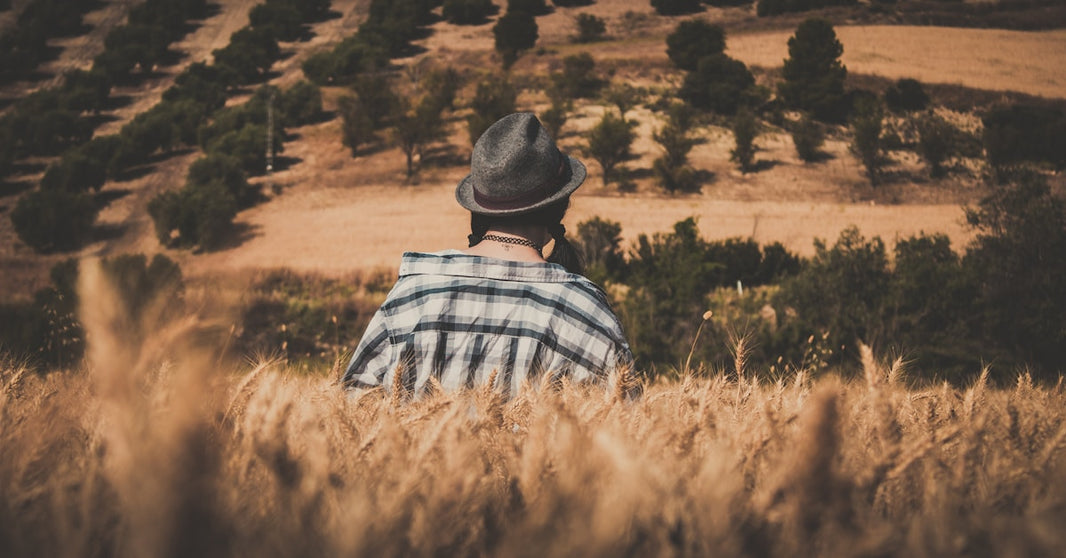没有亚马逊品牌备案，如何用卖家精灵获取ABA数据？